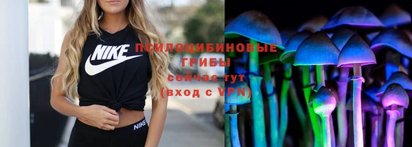 стафф Алзамай