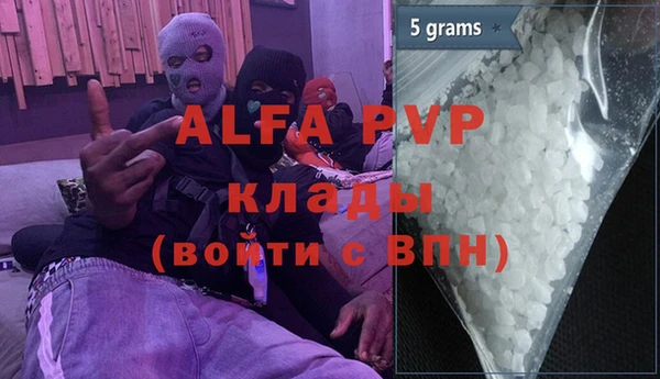 стафф Алзамай