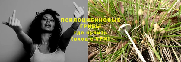 apvp Аркадак