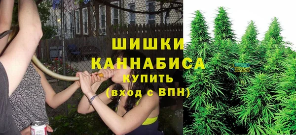 каннабис Арсеньев