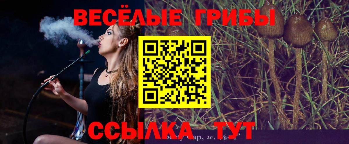 хочу   Вход с VPN  Краснотурьинск  Галлюциногенные грибы Psilocybine cubensis 